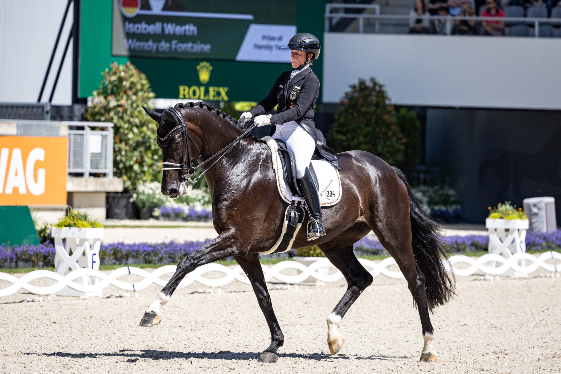Eine Dressurreiterin reitet auf einem dunkelbraunen Pferd in einer Dressurprüfung. Im Hintergrund sind ein großes Anzeigeboard mit dem Namen „Isabell Werth“ und Zuschauer auf der Tribüne zu sehen. Die Reiterin trägt eine schwarze Jacke, weiße Reithose und einen Helm. Die Szenerie findet in einem Stadion mit Blumendekorationen und Dressurviereck statt.